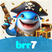 brr7 visual