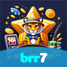 brr7 visual