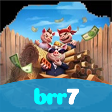 brr7 visual