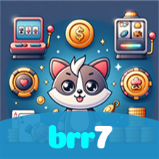 brr7 visual