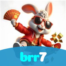 brr7 visual