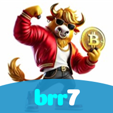 brr7 visual