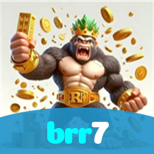 brr7 visual
