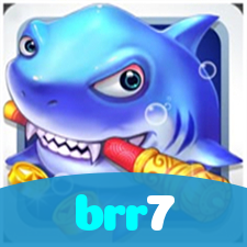 brr7 visual