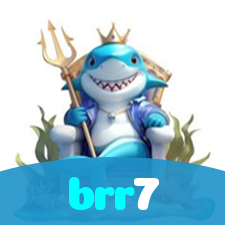 brr7 visual