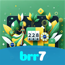 brr7 visual