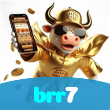 brr7 visual