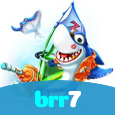 brr7 visual