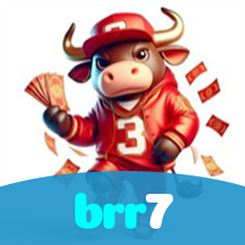 brr7 visual