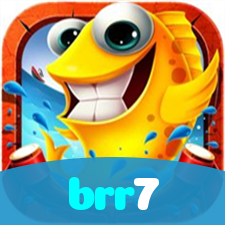brr7 visual