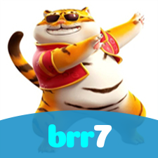 brr7 visual